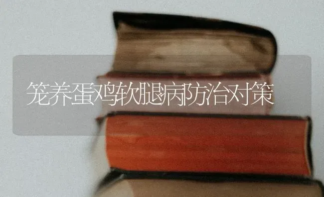 笼养蛋鸡软腿病防治对策 | 家禽养殖