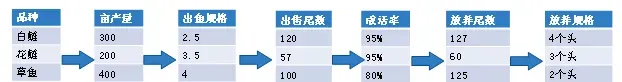 淡水养殖模式至关重要！模式设计对了，养殖就已成功了一半