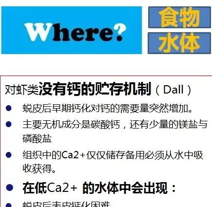 一张图看懂南美白对虾如进行钙镁吸收