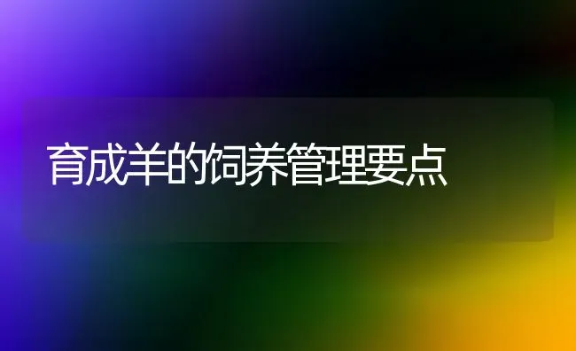 育成羊的饲养管理要点 | 家畜养殖