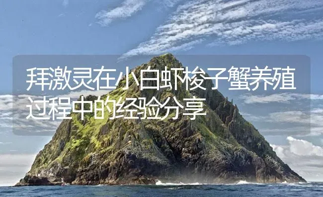 拜激灵在小白虾梭子蟹养殖过程中的经验分享 | 海水养殖