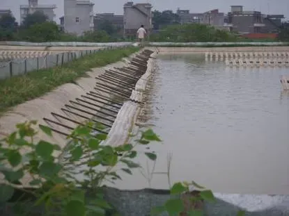 外塘甲鱼养殖池塘建设规范