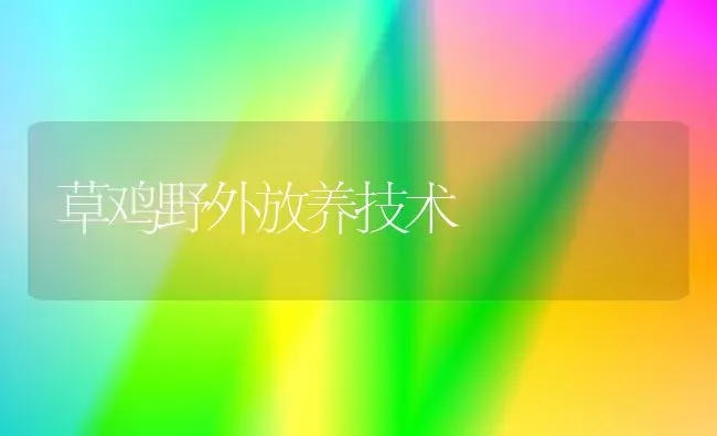 草鸡野外放养技术 | 家禽养殖