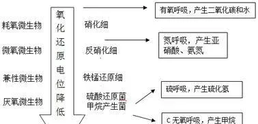 氧化还原电位(ORP)在养殖池塘水质监测中重要作用