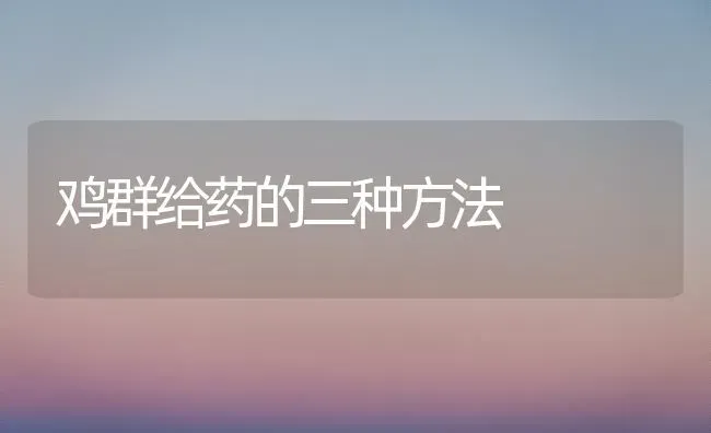 鸡群给药的三种方法 | 养殖病虫害防治