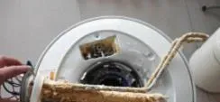 你的蟹塘是否具备养出大规格河蟹的条件？