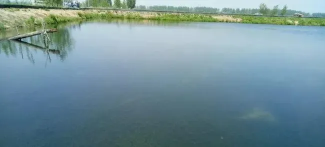 螃蟹秋后要进补 翻倍规格看溶氧