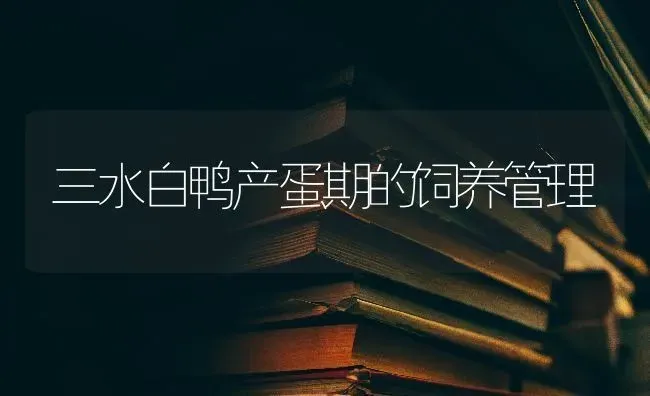 三水白鸭产蛋期的饲养管理 | 家禽养殖