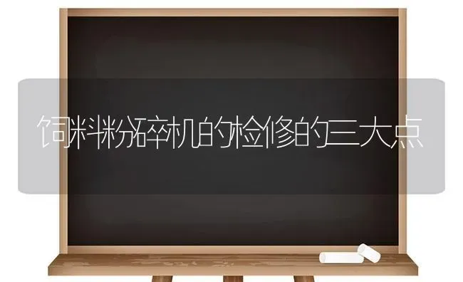 饲料粉碎机的检修的三大点 | 动物养殖饲料