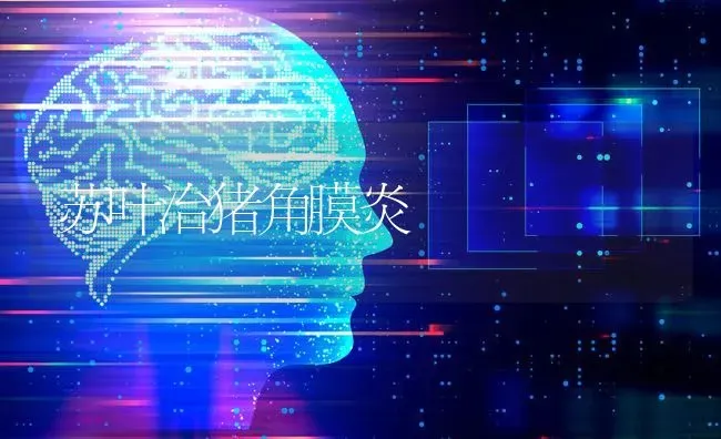 苏叶治猪角膜炎 | 家畜养殖