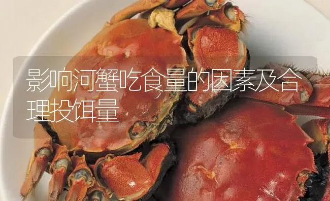 影响河蟹吃食量的因素及合理投饵量 | 淡水养殖