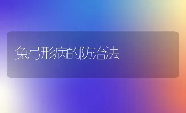 兔弓形病的防治法 | 家畜养殖