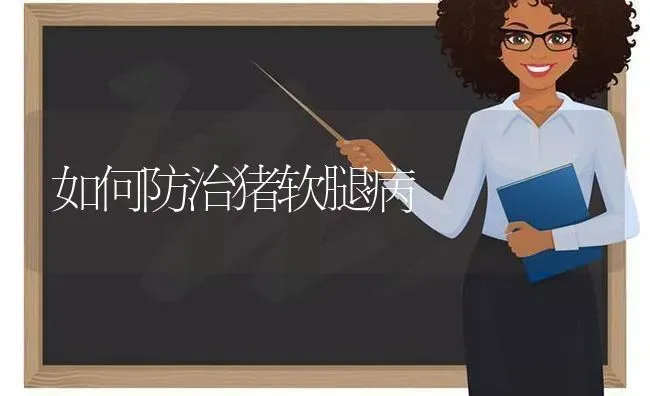 如何防治猪软腿病 | 家畜养殖