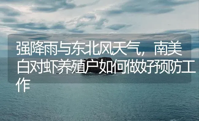 强降雨与东北风天气，南美白对虾养殖户如何做好预防工作 | 海水养殖
