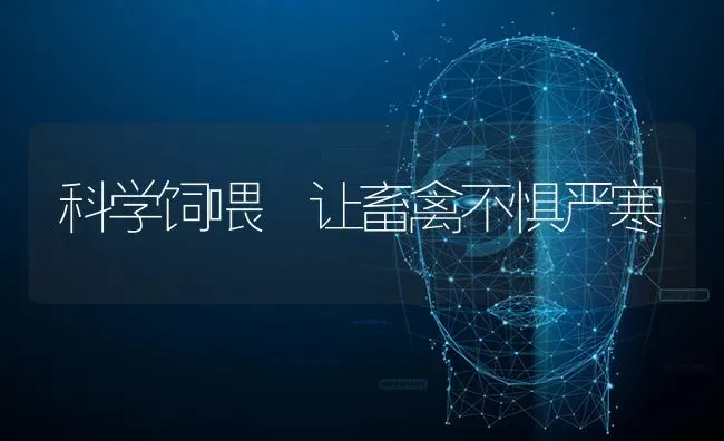 科学饲喂 让畜禽不惧严寒 | 家禽养殖