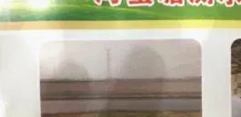 你的蟹塘是否具备养出大规格河蟹的条件？