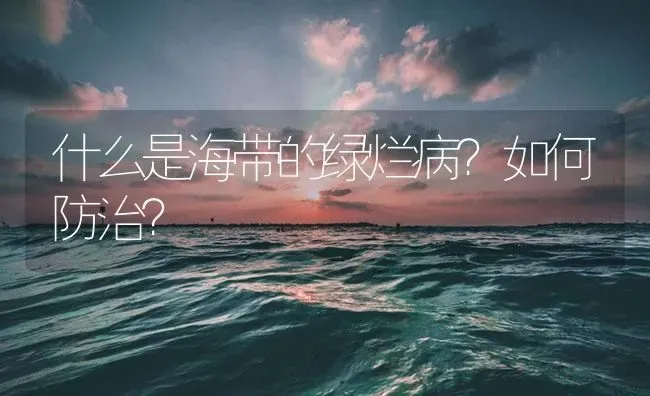 什么是海带的绿烂病？如何防治？ | 海水养殖