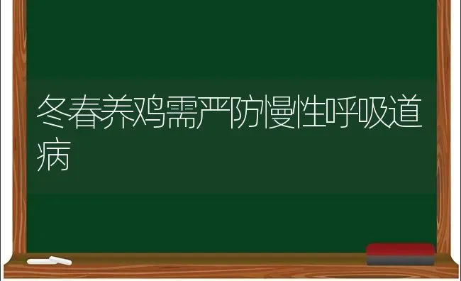 冬春养鸡需严防慢性呼吸道病 | 家禽养殖