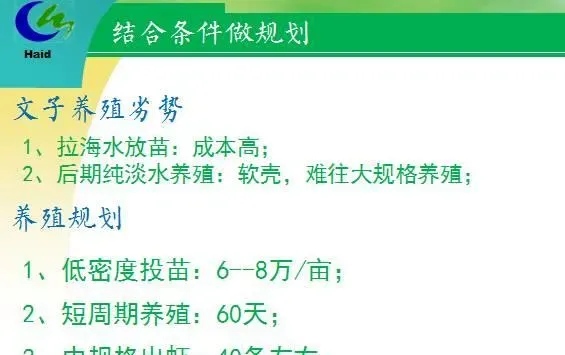 海南琼海市长坡镇文子村南美白对虾淡水养殖模式