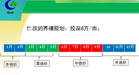 海南琼海市长坡镇文子村南美白对虾淡水养殖模式