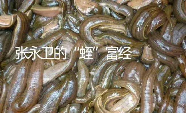 张永卫的“蛭”富经 | 特种养殖