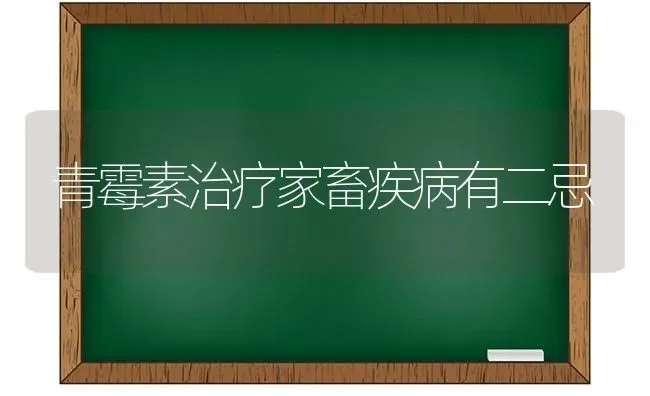 青霉素治疗家畜疾病有二忌 | 家畜养殖