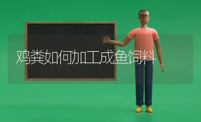 鸡粪如何加工成鱼饲料 | 家禽养殖