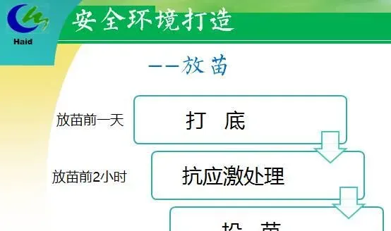 海南琼海市长坡镇文子村南美白对虾淡水养殖模式