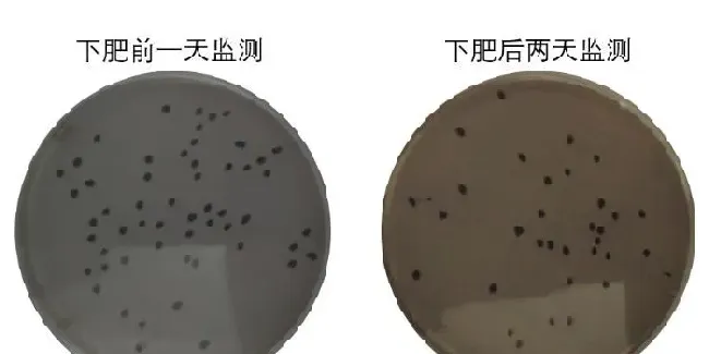养殖池塘致病菌要控制在多少，才能减少发病概率？