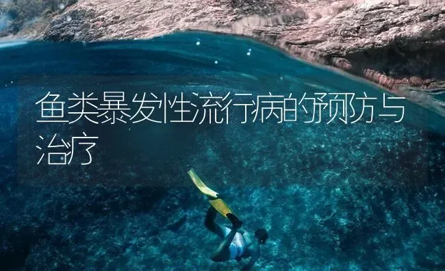 鱼类暴发性流行病的预防与治疗 | 养殖病虫害防治