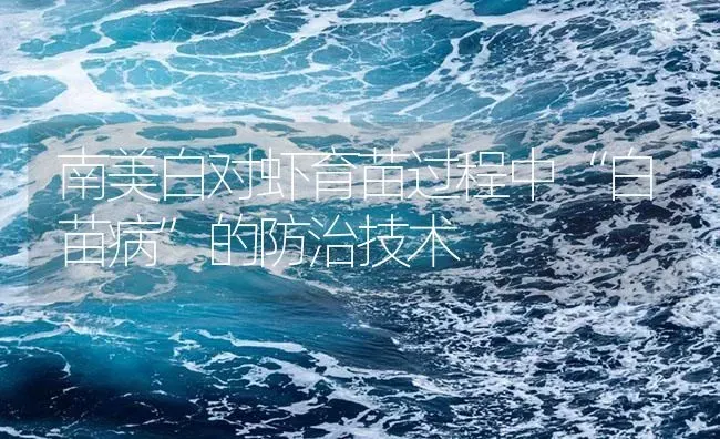 治疗南美白对虾偷死的思路是“先控死、再解表、后治本” | 海水养殖