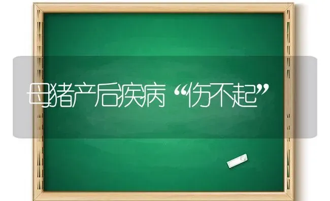 母猪产后疾病“伤不起” | 家畜养殖