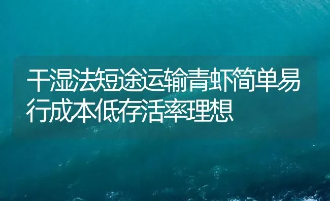 干湿法短途运输青虾简单易行成本低存活率理想 | 海水养殖