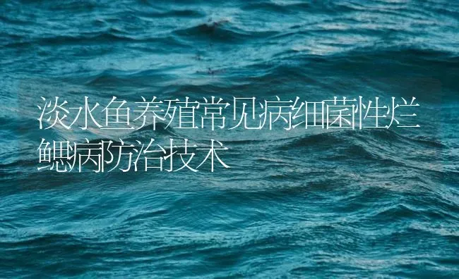 淡水鱼养殖常见病细菌性烂鳃病防治技术 | 养殖病虫害防治