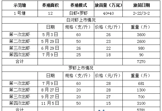 揭秘广东江门大鳌南美白对虾养殖亩利润超万元的成功秘诀
