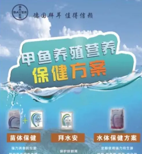 德国拜耳温室转外塘的甲鱼营养保健方案