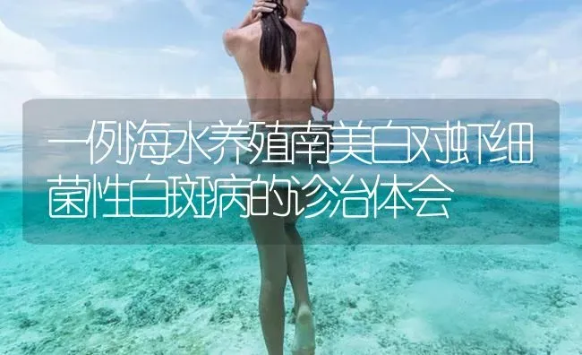 一例海水养殖南美白对虾细菌性白斑病的诊治体会 | 海水养殖