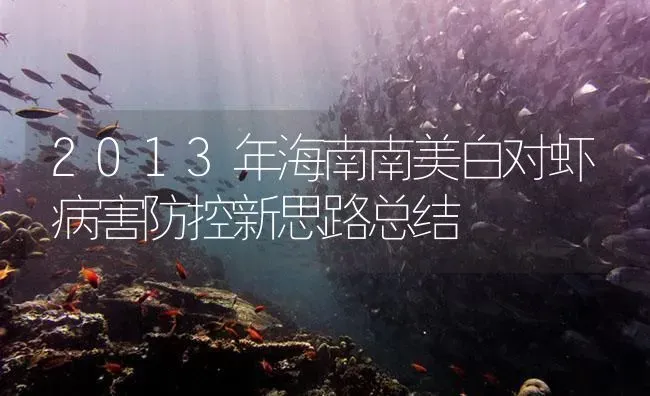 2013年海南南美白对虾病害防控新思路总结 | 海水养殖