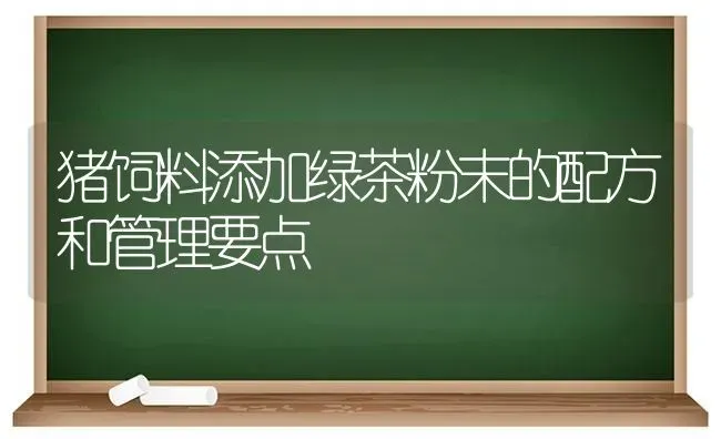 猪饲料添加绿茶粉末的配方和管理要点 | 家畜养殖