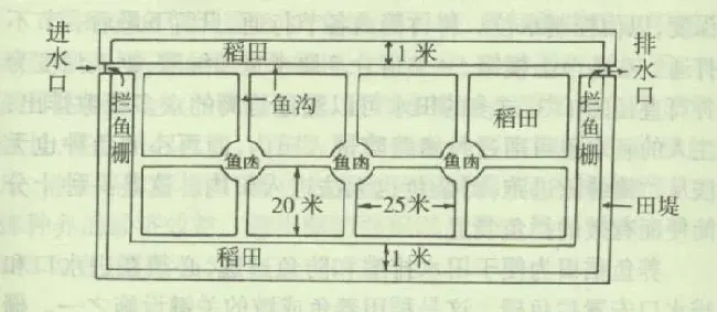 稻田养鱼之稻田的选择与改良