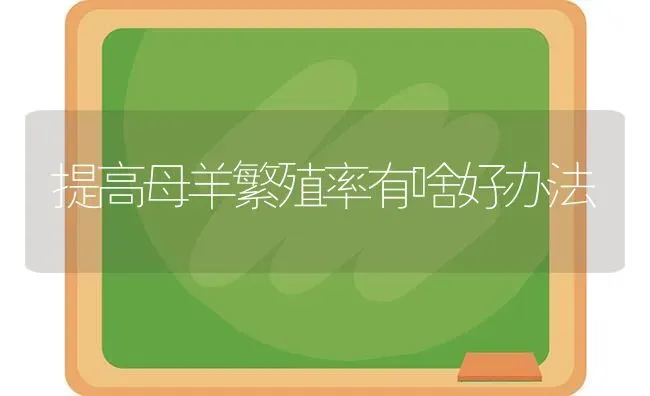 提高母羊繁殖率有啥好办法 | 家畜养殖