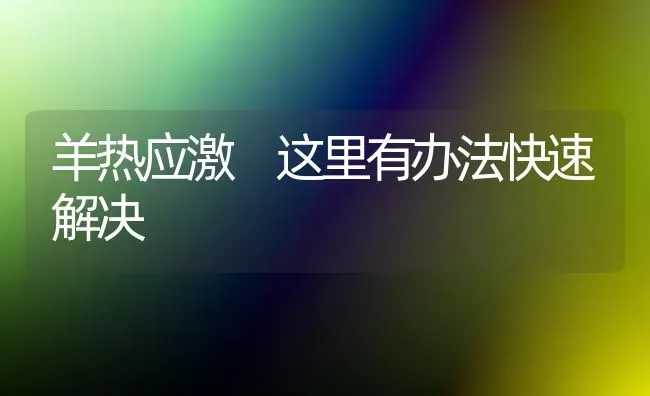 羊热应激 这里有办法快速解决 | 家畜养殖