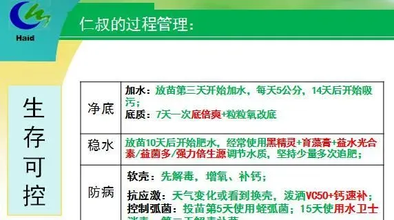 海南琼海市长坡镇文子村南美白对虾淡水养殖模式