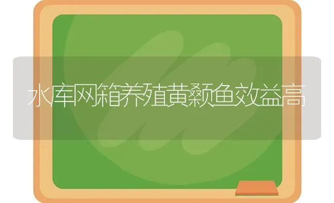 水库网箱养殖黄颡鱼效益高 | 淡水养殖