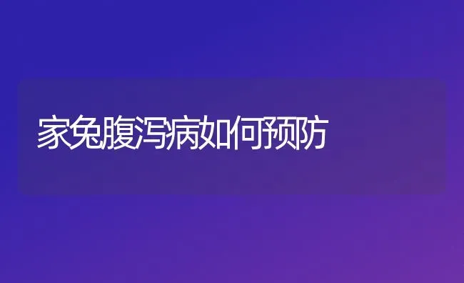 家兔腹泻病如何预防 | 家畜养殖