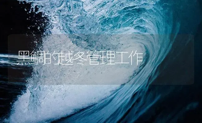 黑鲷的越冬管理工作 | 海水养殖