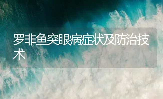罗非鱼突眼病症状及防治技术 | 养殖病虫害防治