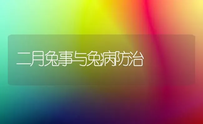 家兔冬繁并不难 | 家畜养殖