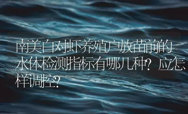 南美白对虾养殖户放苗前的水体检测指标有哪几种？应怎样调控？ | 海水养殖