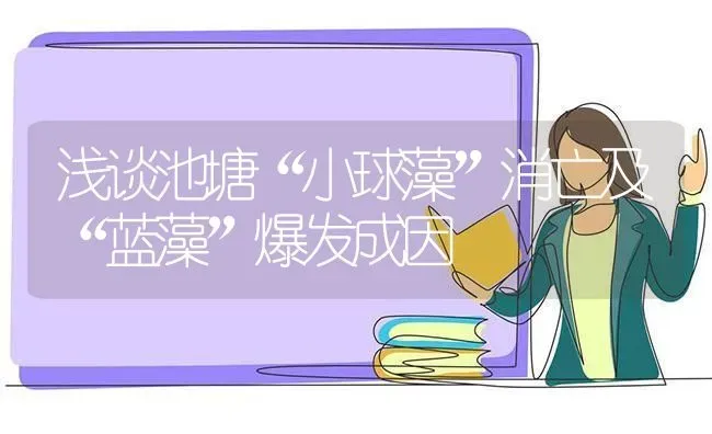 浅谈池塘“小球藻”消亡及“蓝藻”爆发成因 | 动物养殖百科